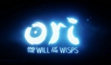 zber z hry Ori and the Will of the Wisps